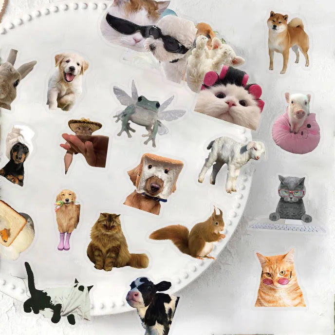 50 pegatinas impermeables de grafiti con memes de gatos y perros monos de dibujos animados