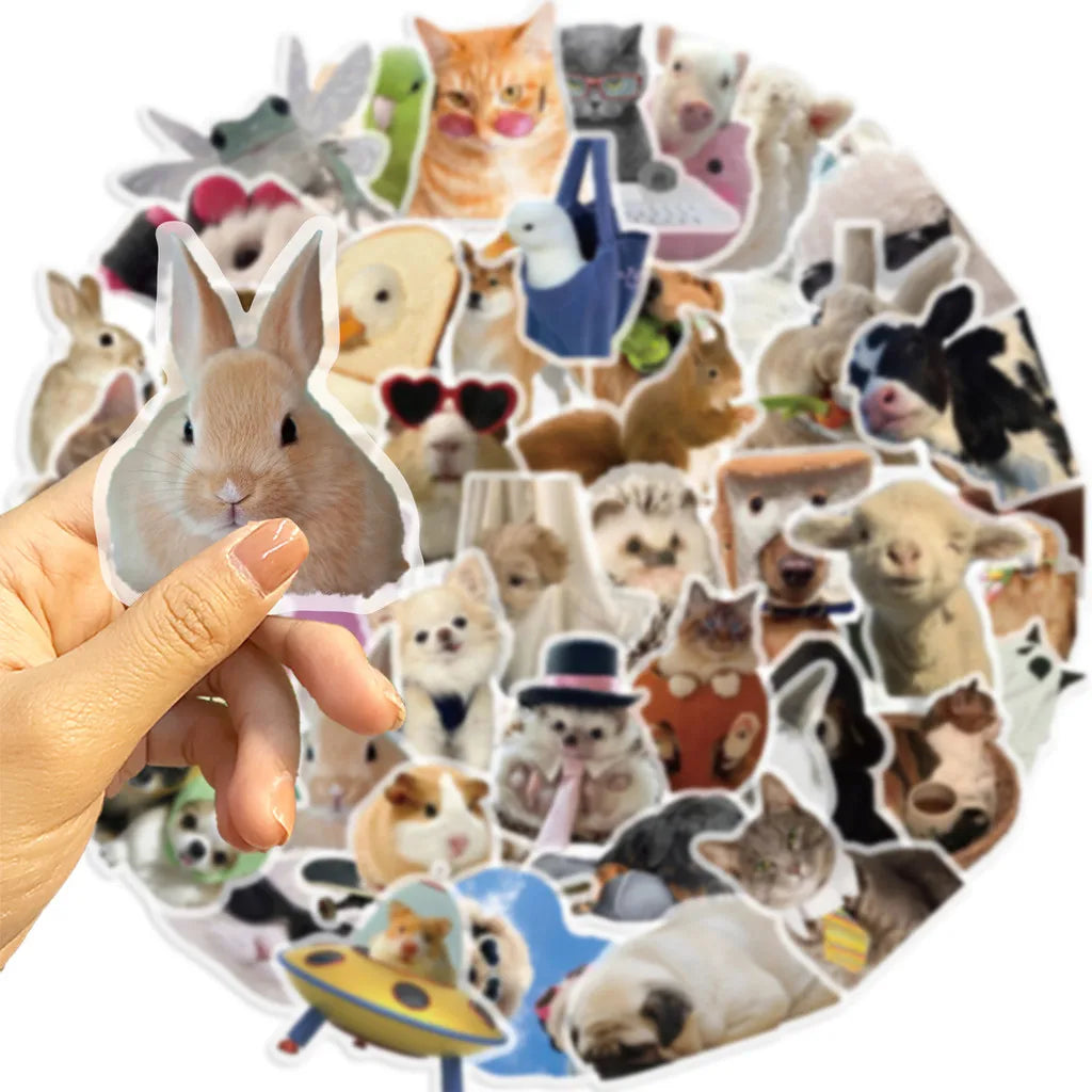 50 pegatinas impermeables de grafiti con memes de gatos y perros monos de dibujos animados