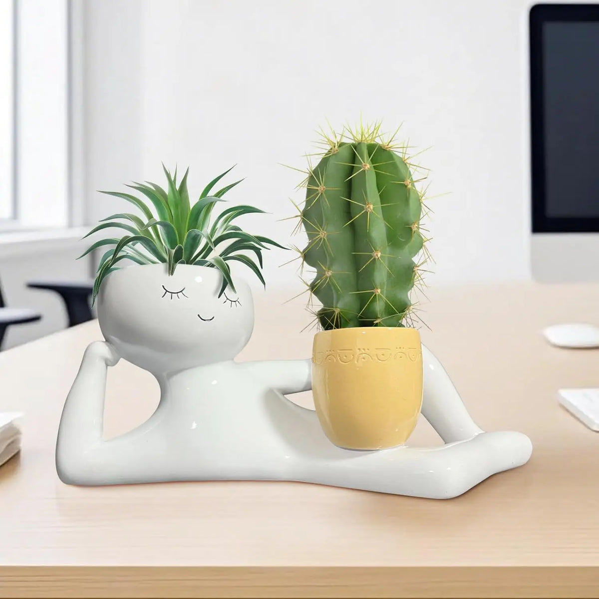 Maceta Original de Resina – Para Plantas con Personalidad