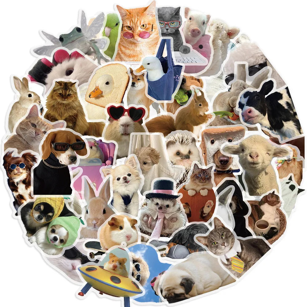 50 pegatinas impermeables de grafiti con memes de gatos y perros monos de dibujos animados