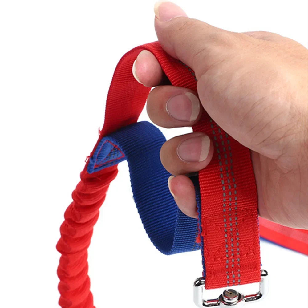 Correa de Perro Retráctil y Manos Libres con Cinturón Ajustable – Correa Elástica para Correr y Ciclismo con Perros Grandes