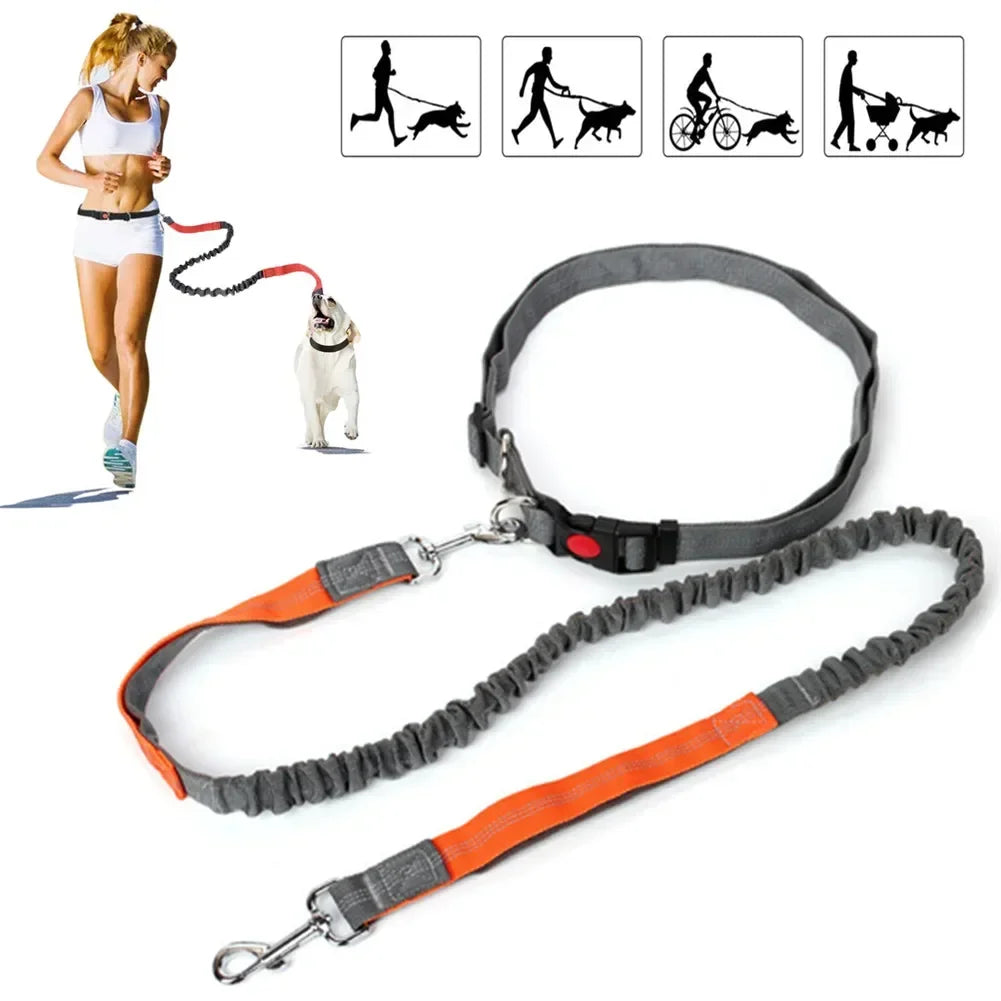 Correa de Perro Retráctil y Manos Libres con Cinturón Ajustable – Correa Elástica para Correr y Ciclismo con Perros Grandes