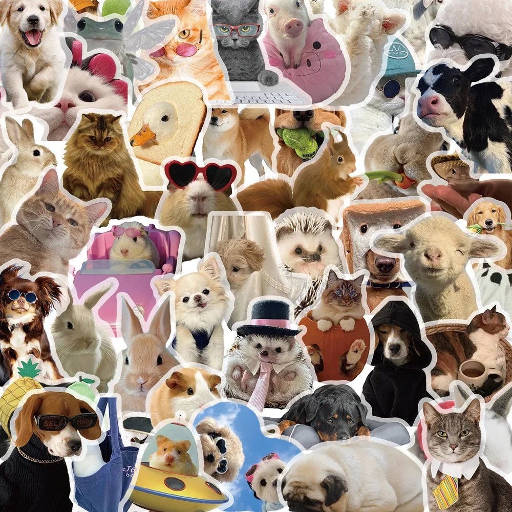 50 pegatinas impermeables de grafiti con memes de gatos y perros monos de dibujos animados