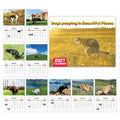 Calendario de Pared 2027 – Perros en Paisajes Épicos 🐶